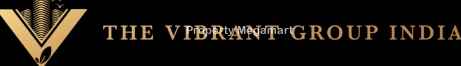 Vibrant Group logo